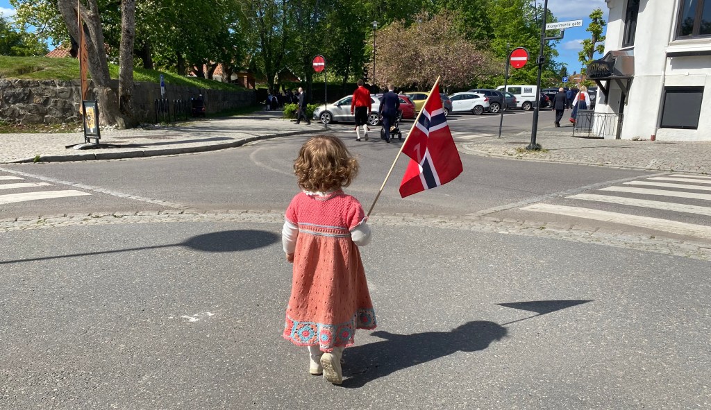 Fellesskole eller forskjellsskole?
